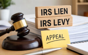 Can You Appeal A Lien or Levy Image