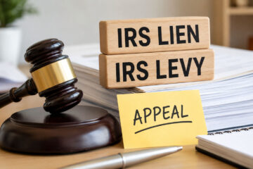 Can You Appeal A Lien or Levy Image