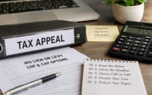 Appeal Lien Or Levy Image